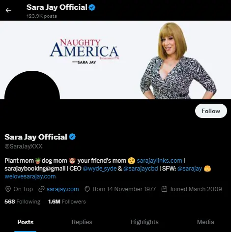 Sara Jay Twitter